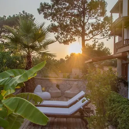 Azure, Lavanta, Kalkan