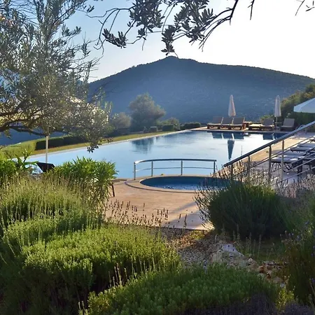 Azure, Lavanta, Kalkan فيلة